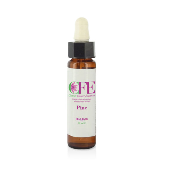 Pine 10 ml