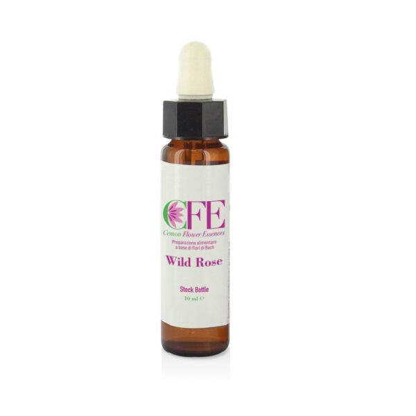 Wild Rose 10 ml