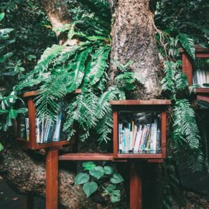 Editoria-Libri